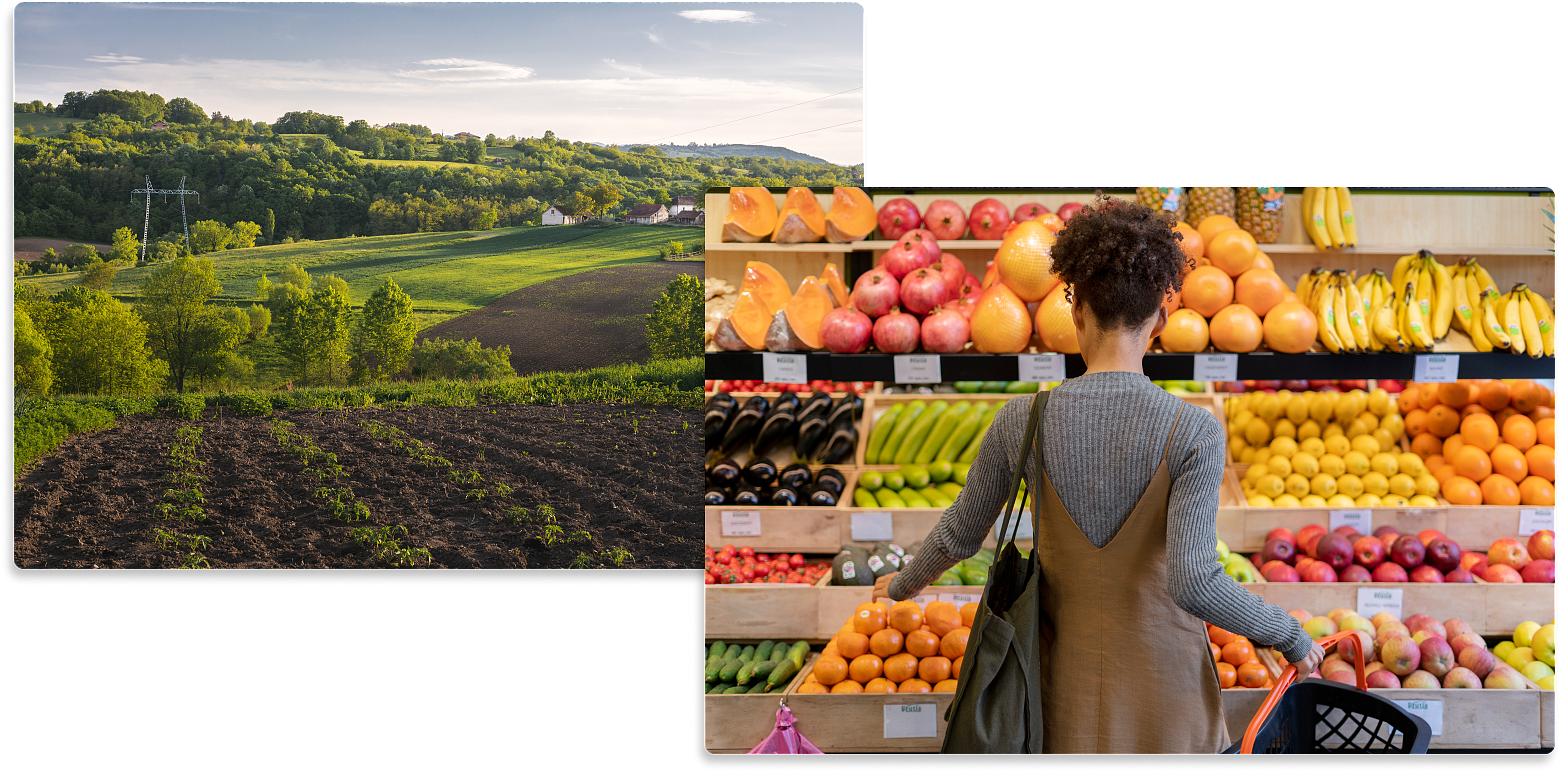 lm_image___2zfov cover___2hGtr lm_image___2zfov cover___2hGtr