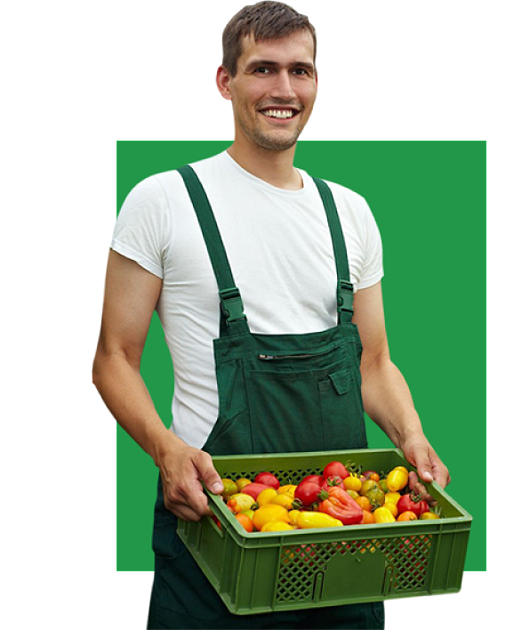 lm_image___2zfov cover___2hGtr lm_image___2zfov cover___2hGtr