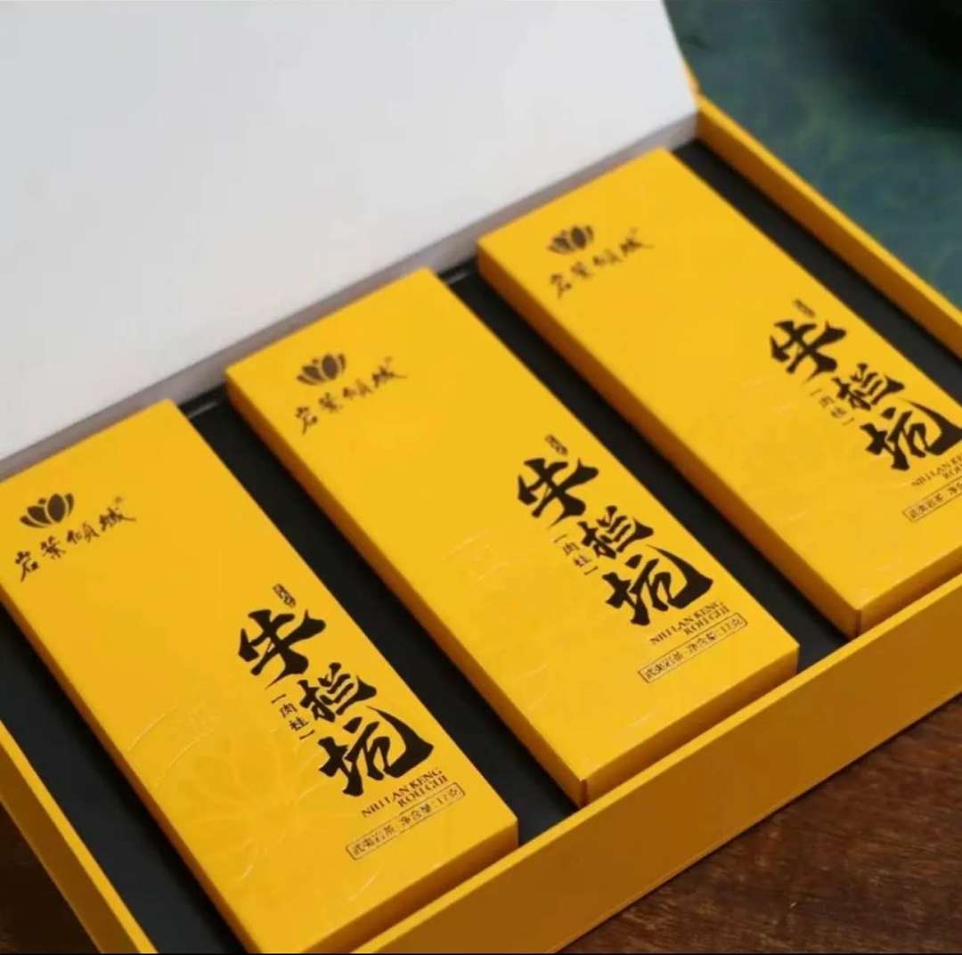 lm_image___2zfov swiper-item-image___2SBSc cover___2hGtr lm_image___2zfov swiper-item-image___2SBSc cover___2hGtr