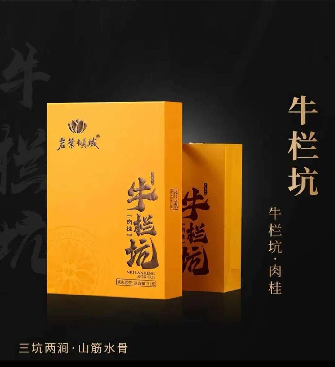 lm_image___2zfov swiper-item-image___2SBSc cover___2hGtr lm_image___2zfov swiper-item-image___2SBSc cover___2hGtr