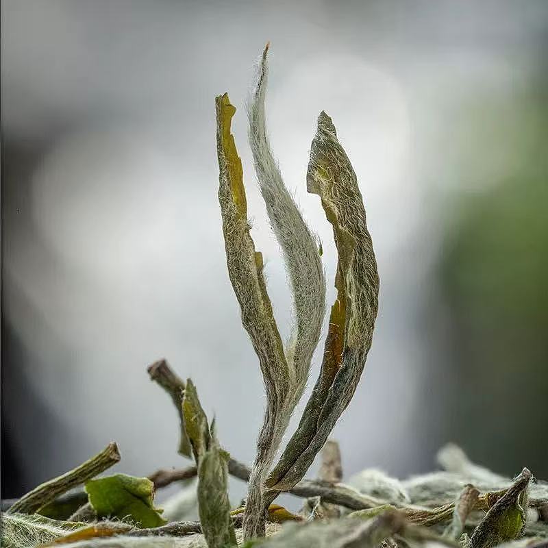 lm_image___2zfov swiper-item-image___2SBSc cover___2hGtr