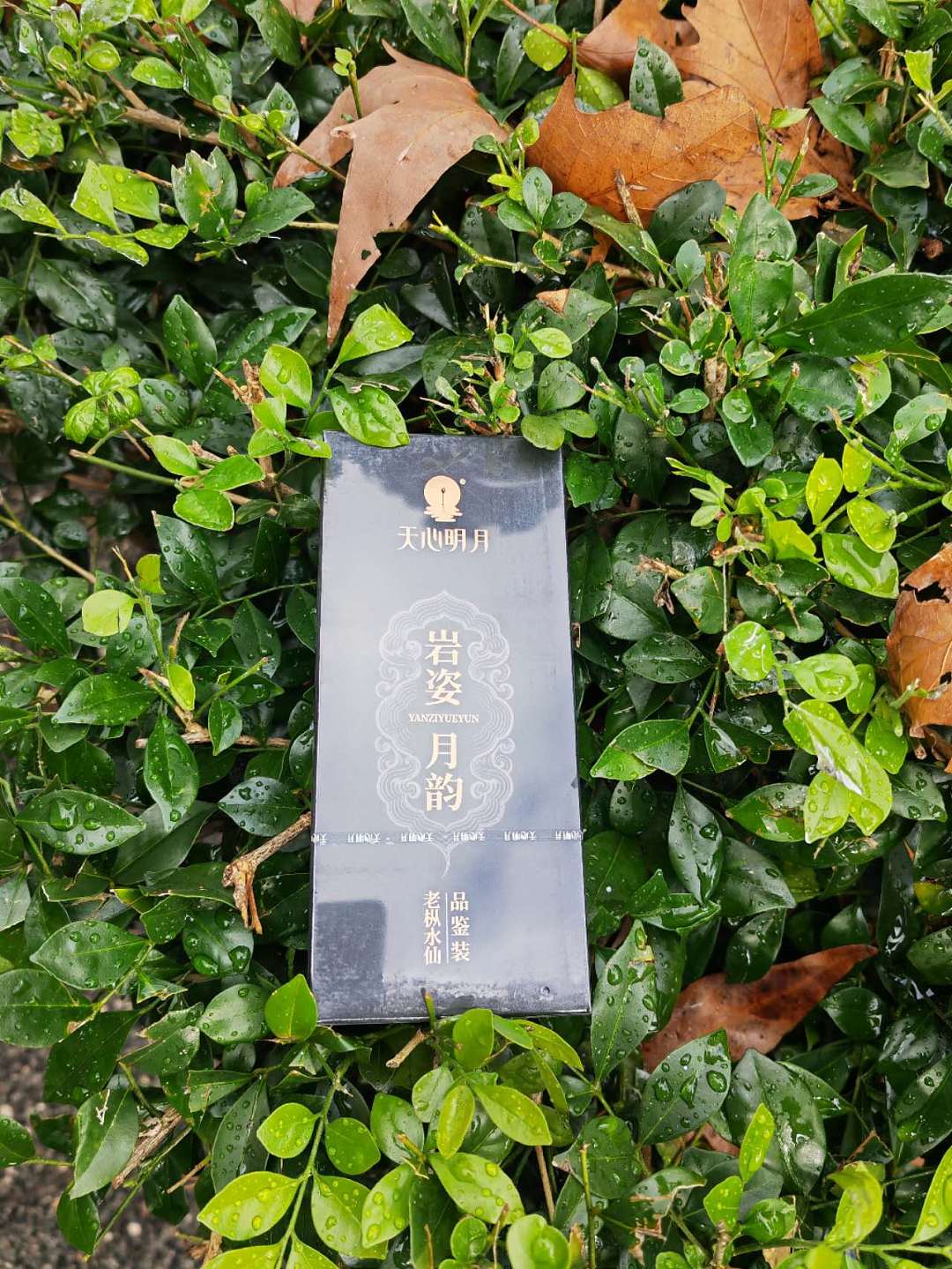 TIAN XIN MING YUE Lao Con Shui Xian 17g(8.5gx2)