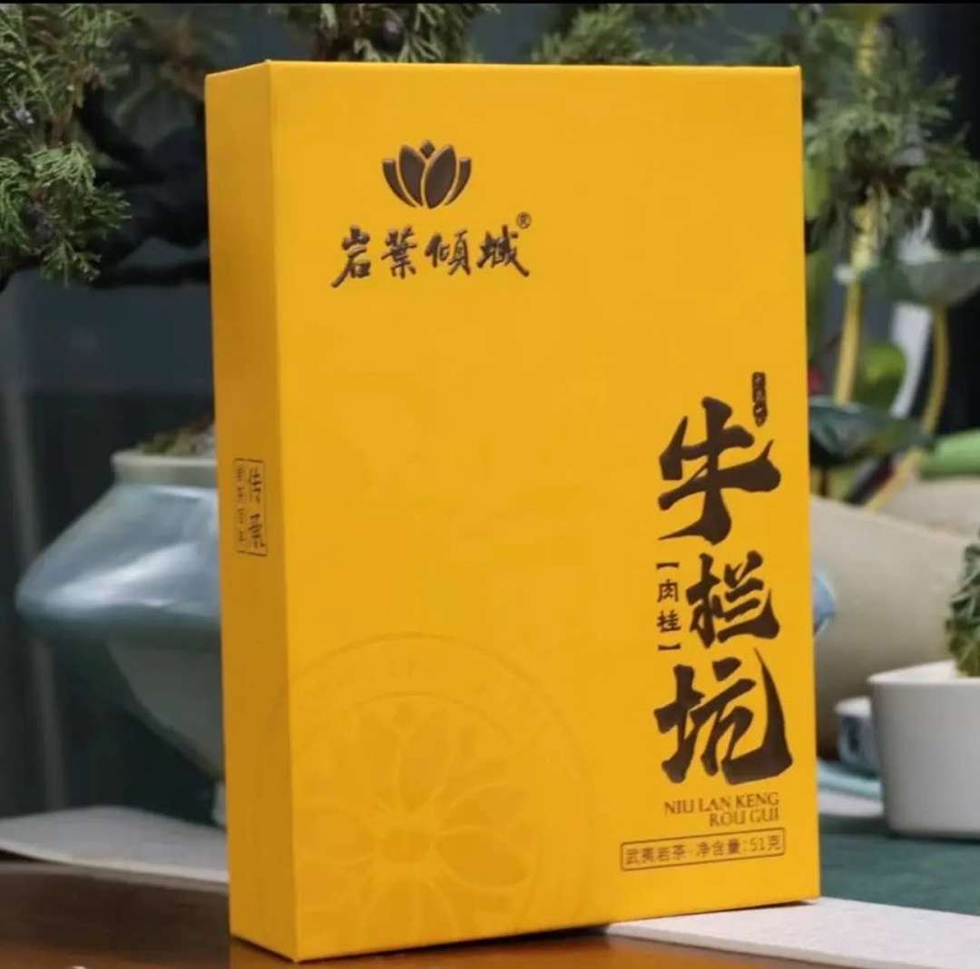 lm_image___2zfov swiper-item-image___2SBSc cover___2hGtr lm_image___2zfov swiper-item-image___2SBSc cover___2hGtr