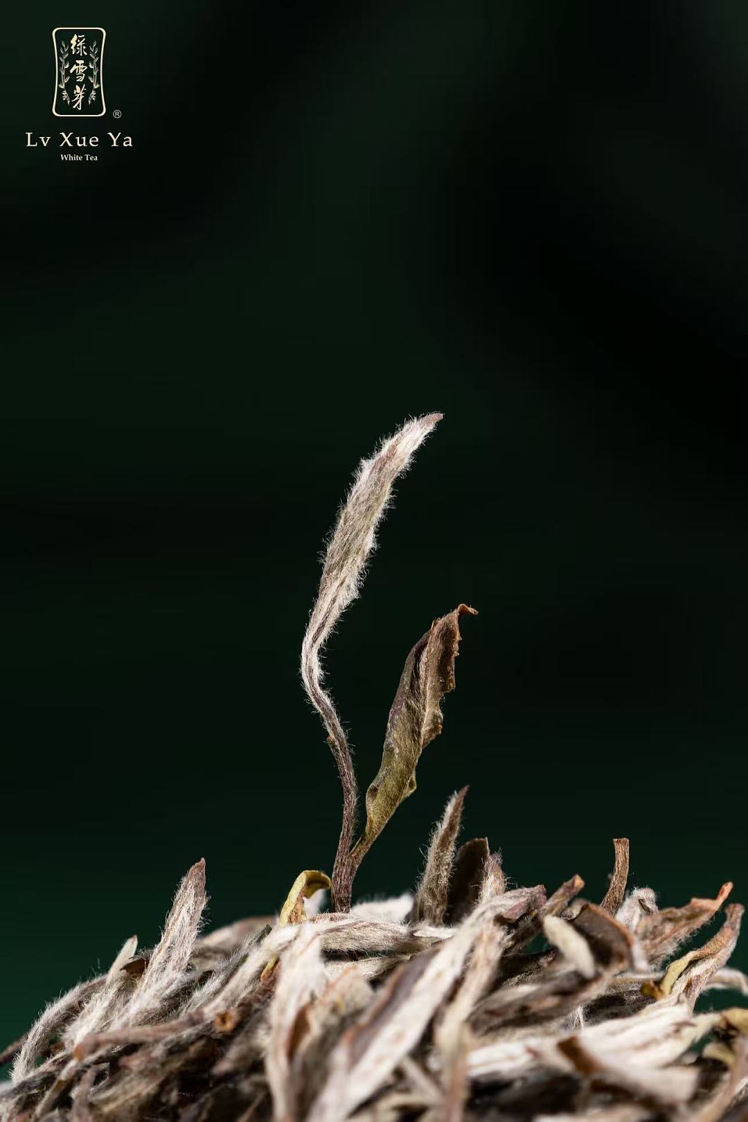 lm_image___2zfov swiper-item-image___2SBSc cover___2hGtr