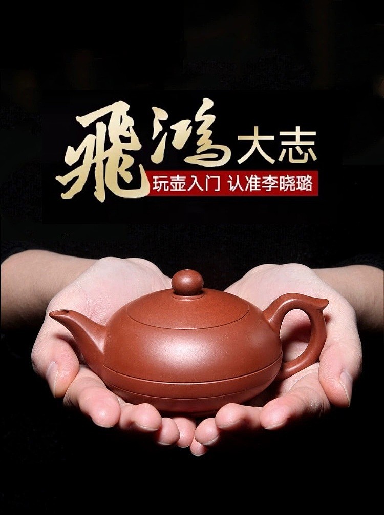 Fei Hong Pot 250ml· YIXING ZiSha Teapot