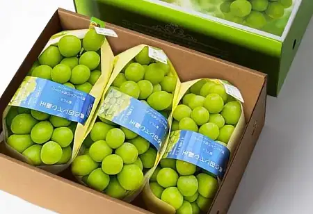 晴王葡萄 AUTUMN CRISPY GRAPES - PER KG