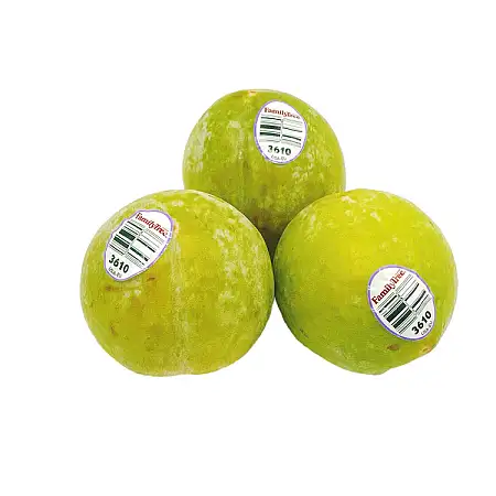 PLUMS GREEN 李子/kg