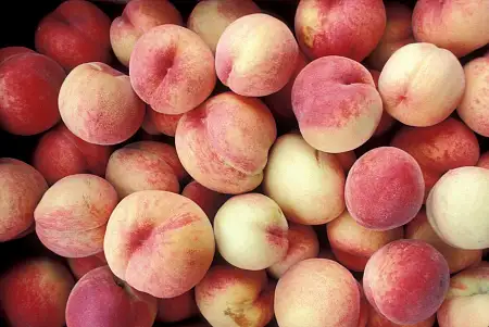 PEACH WHITE 白桃/kg