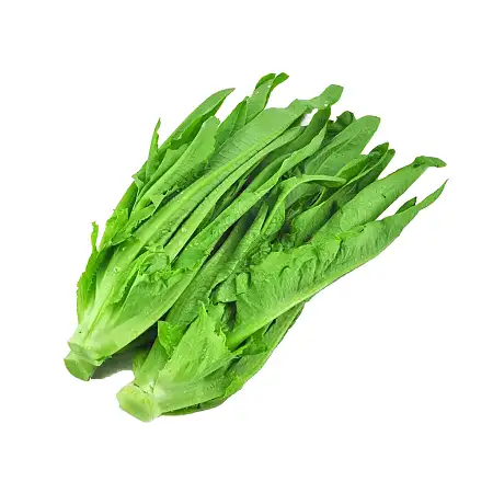 油麦菜/把