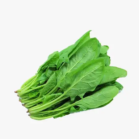菠菜/把 嫩嫩的呢~