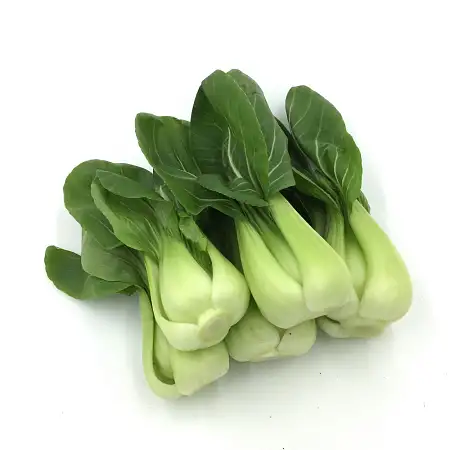 上海白上海青小唐菜/把