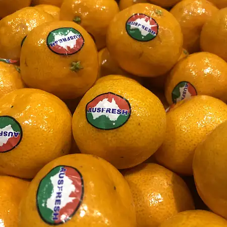AFOURER MANDARIN/kg