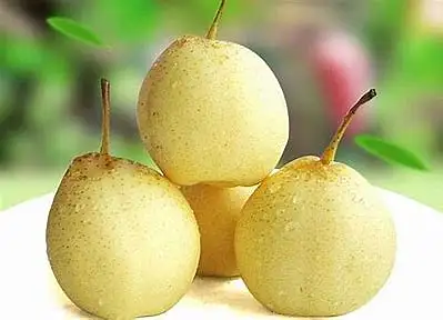 新鲜鸭梨亚洲梨BIG ASIAN PEAR/kg