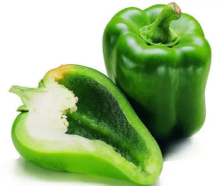 青椒/绿灯笼椒/ kg