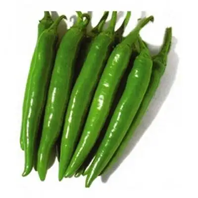 LONG GREEN CHILLI长青辣椒300g