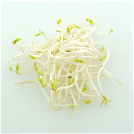 绿豆芽一包