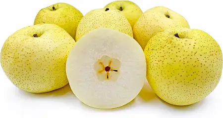 Golden Pear/个