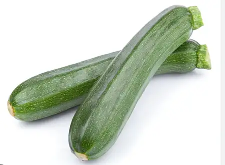 西葫芦green zucchini/kg