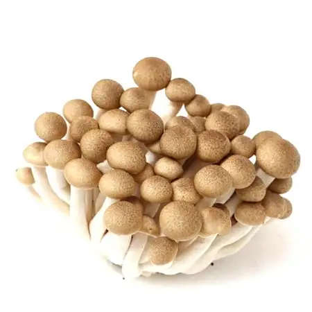 KC蟹味菇150g/包