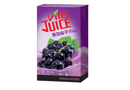 维他黑加仑汁250ML