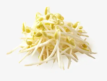 黄豆芽一包