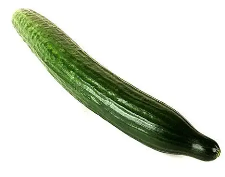 长黄瓜 Cucumber Telegraph/Continental/根