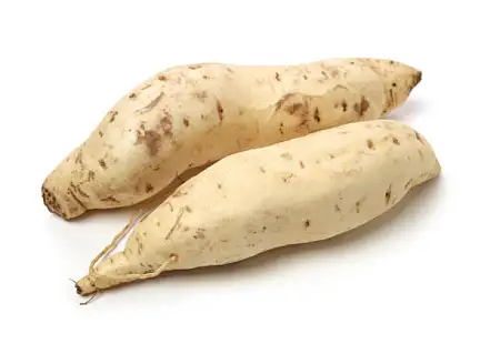 WHITE SWEET POTATO  白薯/kg