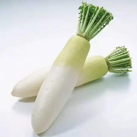 WHITE LONG RADISH白萝卜/个