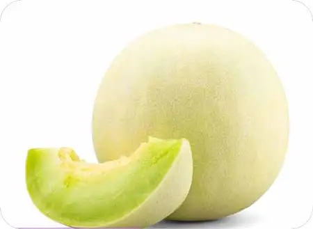 绿皮蜜瓜厚皮甜瓜Honeydew melon/个
