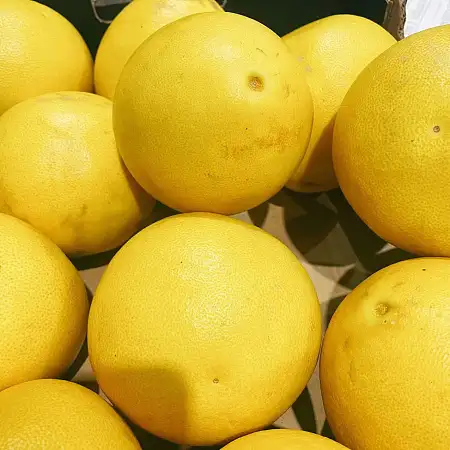 红柚RED POMELO/kg