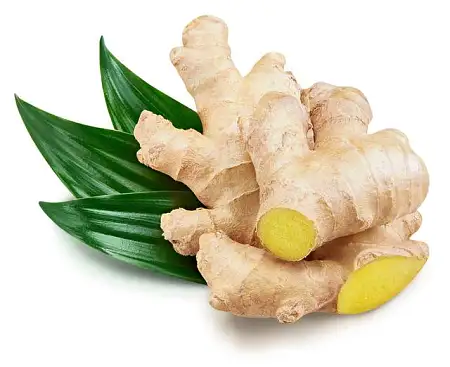 生姜250g