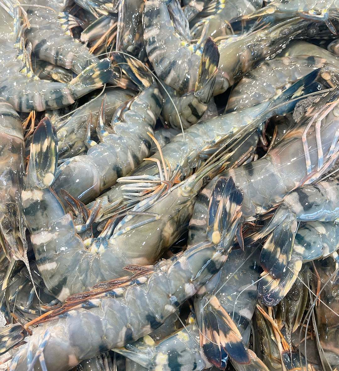 lm_image___2zfov swiper-item-image___2SBSc cover___2hGtr