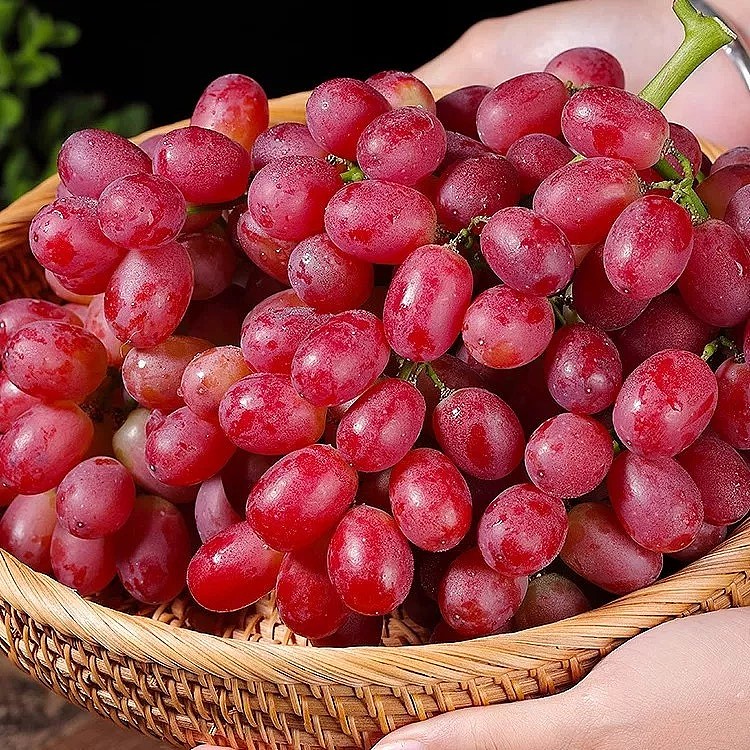 lm_image___2zfov swiper-item-image___2SBSc cover___2hGtr