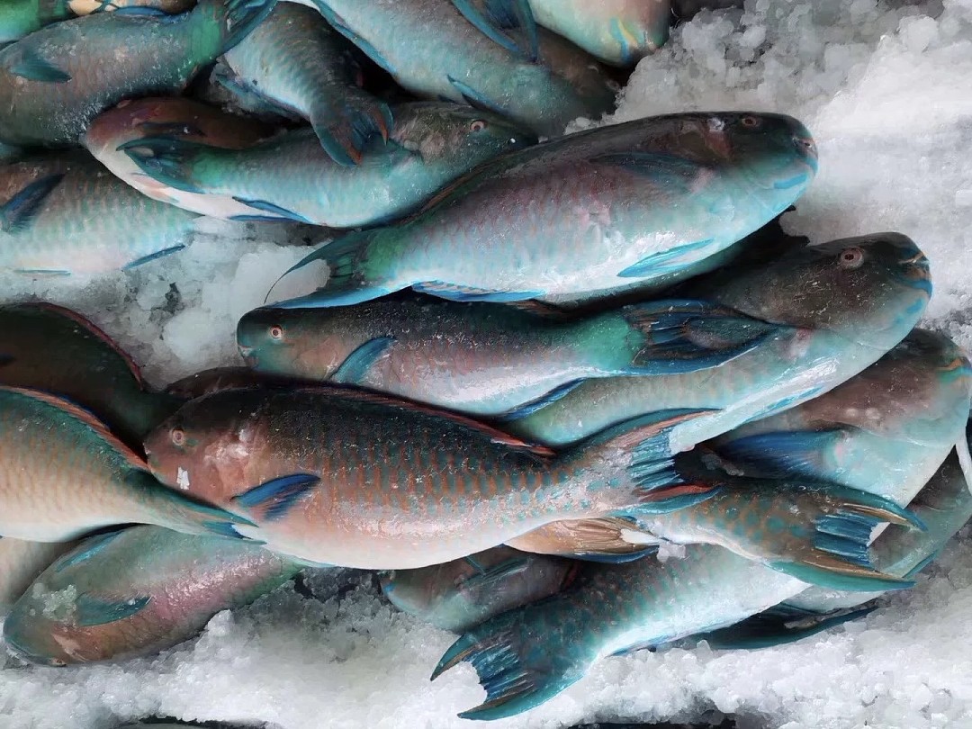 lm_image___2zfov swiper-item-image___2SBSc cover___2hGtr