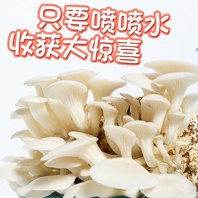 lm_image___2zfov swiper-item-image___2SBSc cover___2hGtr