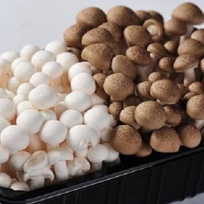 lm_image___2zfov swiper-item-image___2SBSc cover___2hGtr