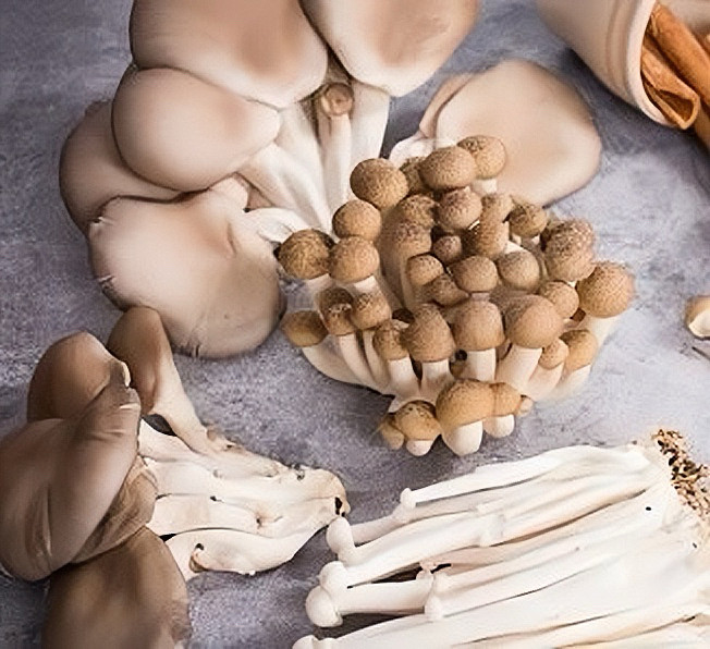 lm_image___2zfov swiper-item-image___2SBSc cover___2hGtr