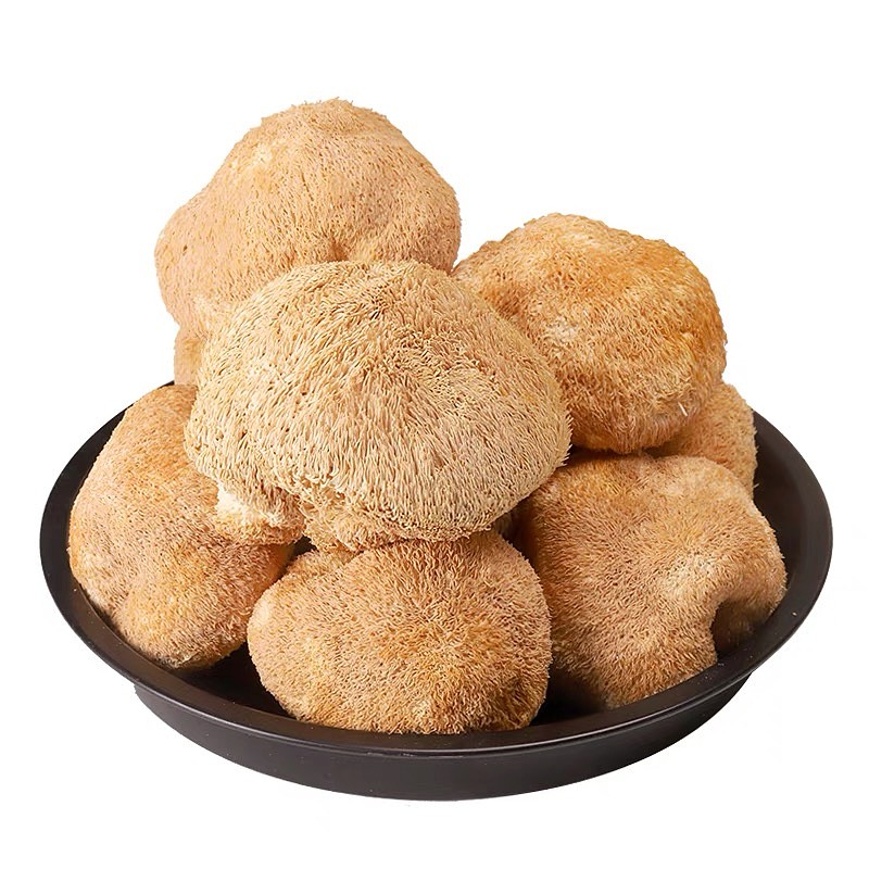 lm_image___2zfov swiper-item-image___2SBSc cover___2hGtr