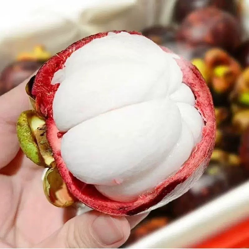 lm_image___2zfov swiper-item-image___2SBSc cover___2hGtr