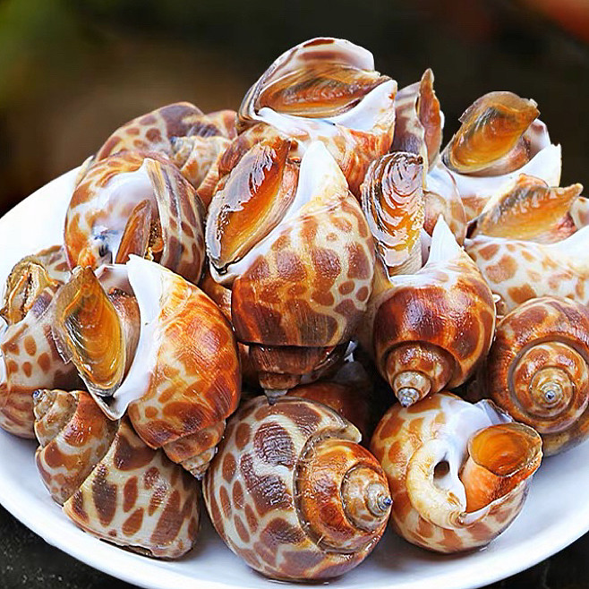 lm_image___2zfov swiper-item-image___2SBSc cover___2hGtr