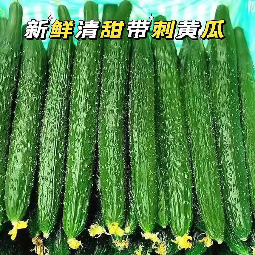 lm_image___2zfov swiper-item-image___2SBSc cover___2hGtr