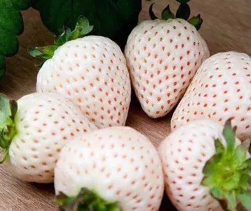 lm_image___2zfov swiper-item-image___2SBSc cover___2hGtr