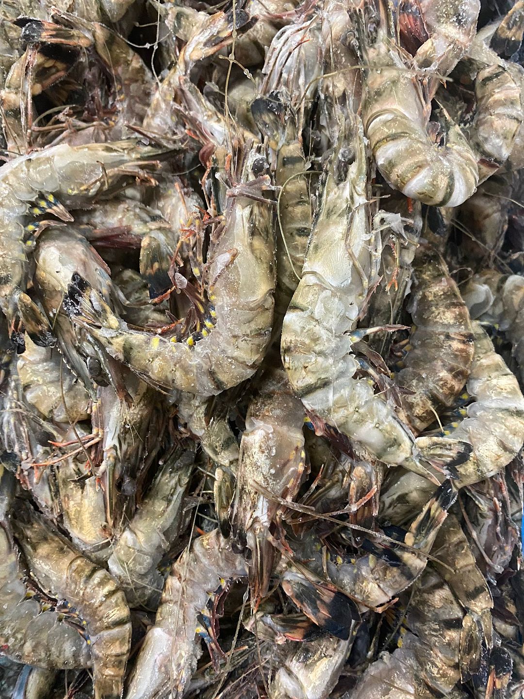 lm_image___2zfov swiper-item-image___2SBSc cover___2hGtr