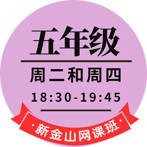 五年级网课（平时班）