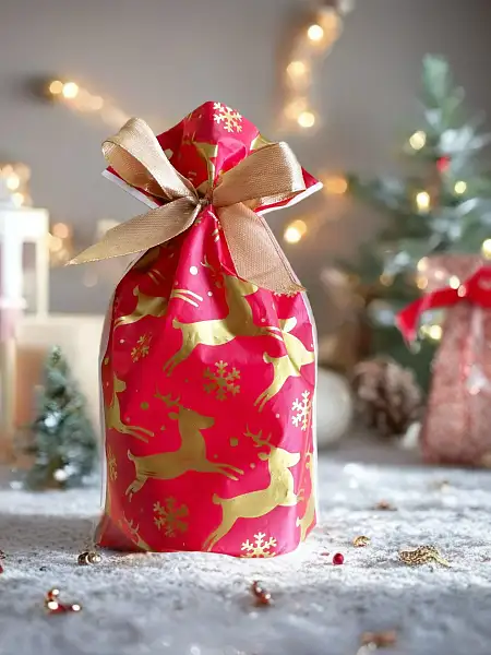 Christmas set圣诞礼包