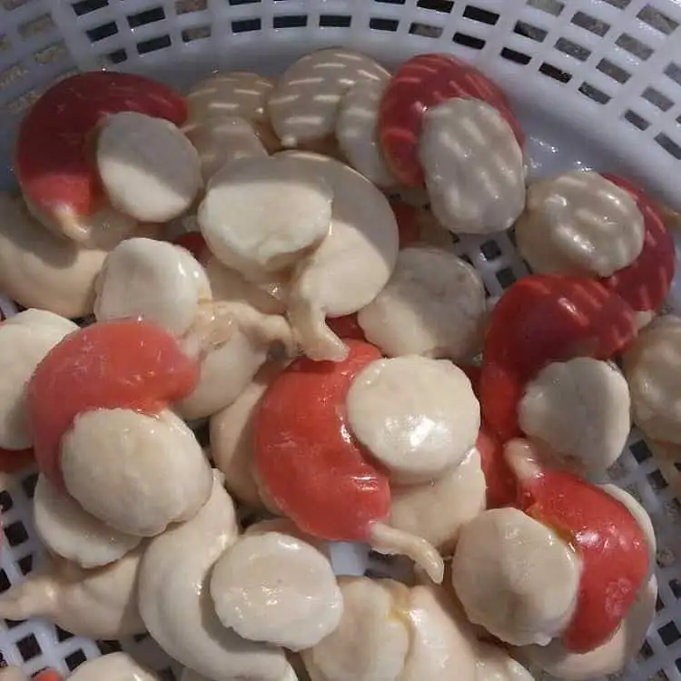 日本 帶卵大干貝 Jap Scallop With Roe 1kg