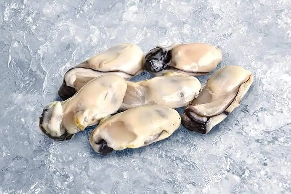 日本 廣島蠔肉  Kanika Oyster Meat 850g