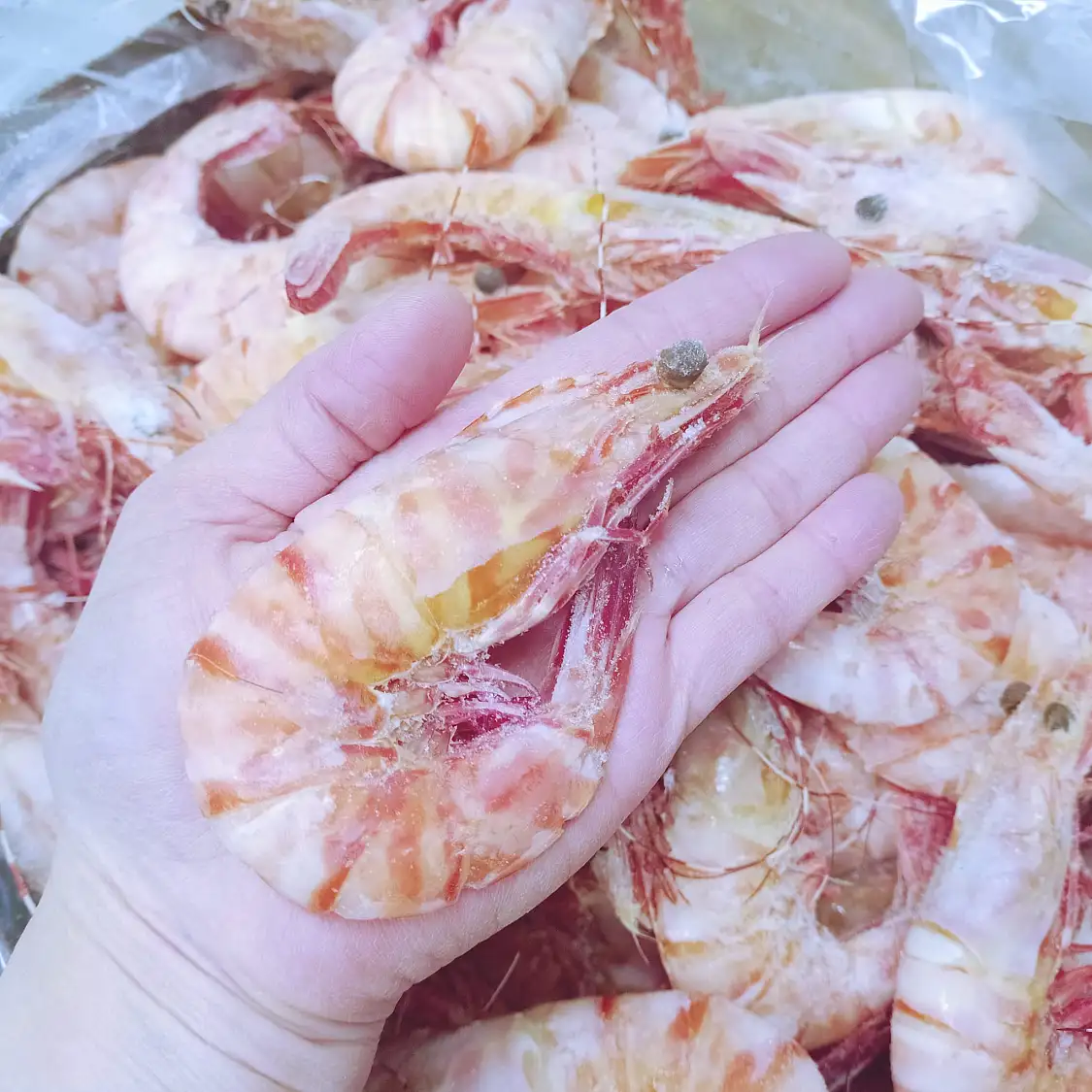 昆士蘭 U10野生船凍熟虎蝦 Wild Caught Cooked Tiger Prawn