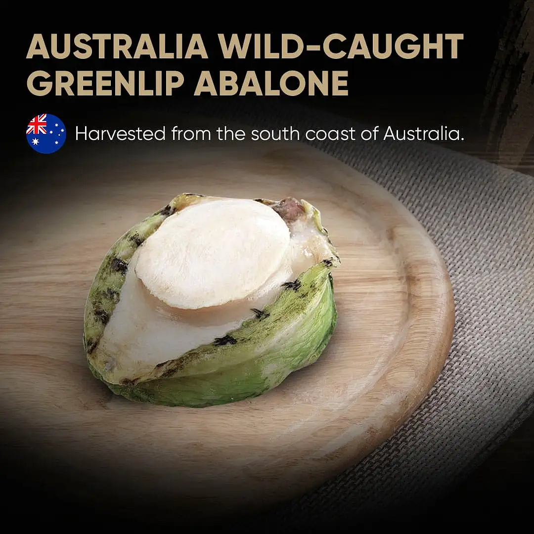 (即期出清)南澳 速凍大顆青邊飽魚肉 GLip Abalone Meat 170~180g