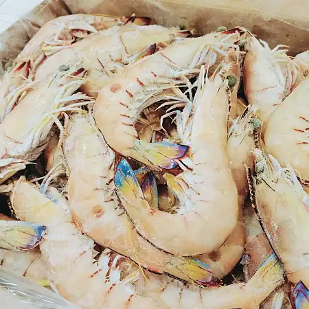 崑士蘭 U6/8 野生帝王蝦  Wild Caught Redspot King Prawn 1kg